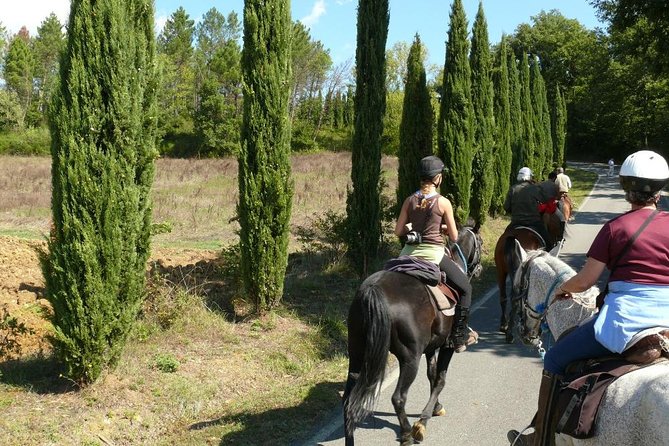 Horse Riding in Tuscany for Experienced Riders: Full-day Trail Ride