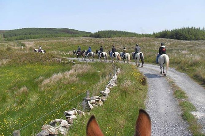 Horse Riding - Mountain Trail. Lisdoonvarna, Co Clare. Guided. 2 Hours. - Safety and Requirements