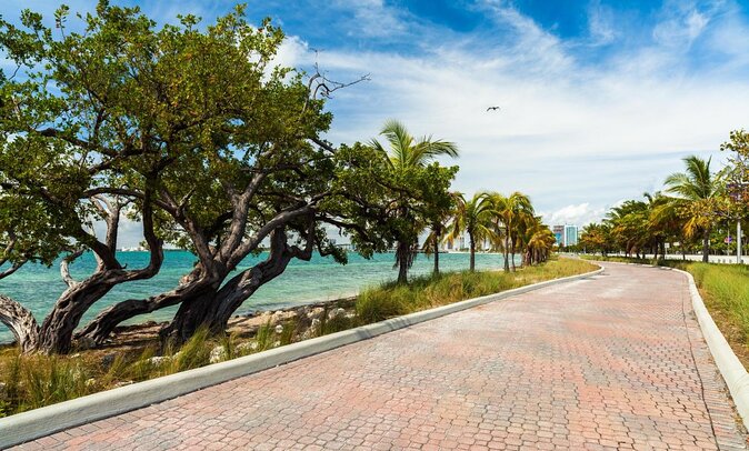 Horse Riding Tour at the Beach in Miami - About the Tour