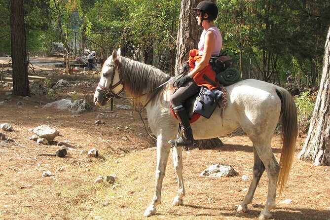 Horse Riding Tour in Bodrum With Hotel Pick up