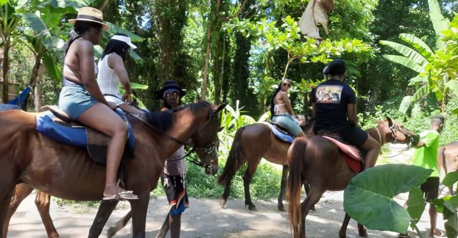 3 Best Tours In St Ann Parish