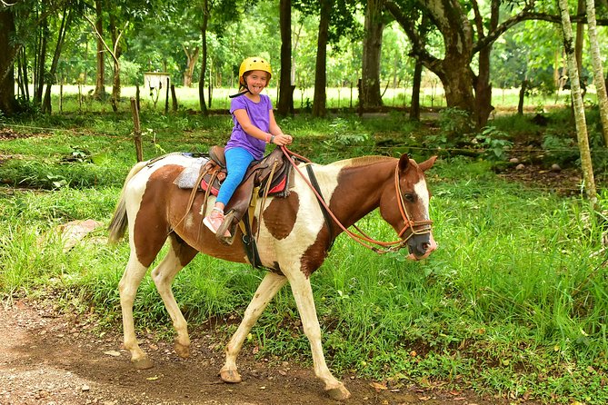 Horseback Riding and Waterfall in Jacó