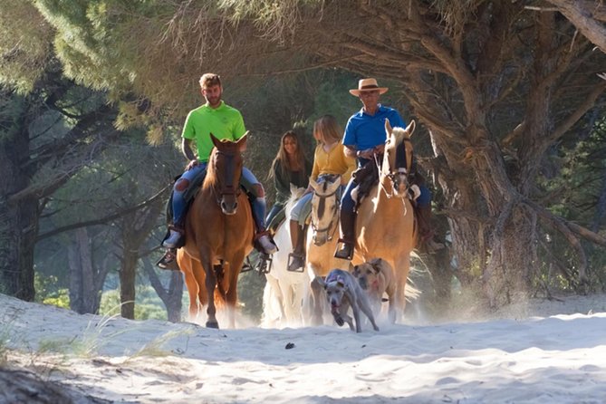 Horseback Riding by the Beach or Mountain in Tarifa, Spain – 1 to 2 Hrs