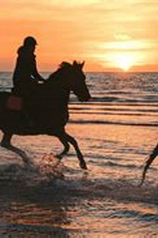 Horseback Riding in Boavista