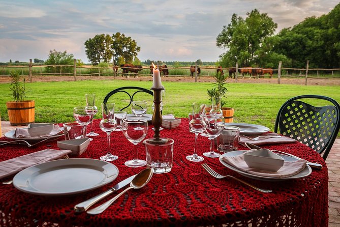 Horseback Riding in the Hungarian Puszta, One Hour Afternoon Ride