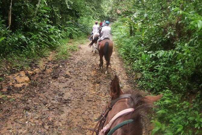 Horseback Riding in the Jungle Near Panama City - Overview and Highlights