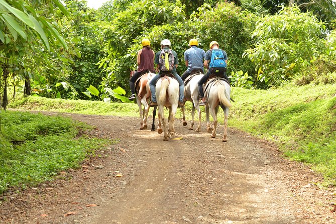 Horseback Riding Jaco