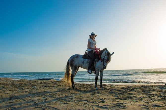 Horseback Riding on the Beach With Paso Colombiano Show,Cartagena - Cartagenas Enchanting Horseback Riding Tour
