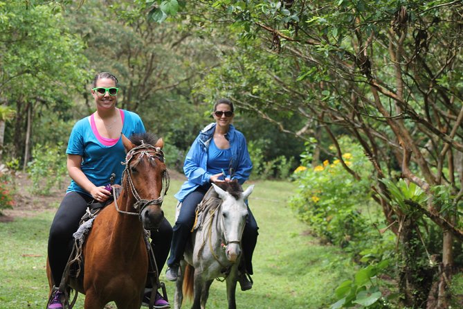 Horseback Riding Tour - Tour Overview
