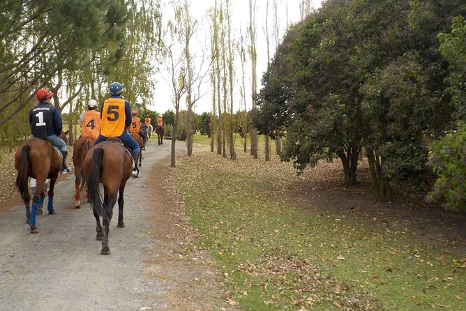 Horseback Riding Tour and Asado in Argentine Countryside - Tour Overview