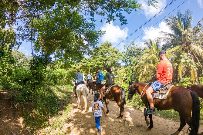 Horseback Riding + West End + Choco Factory + West Bay Day Pass @ Paradise Beach - Horseback Riding Adventure