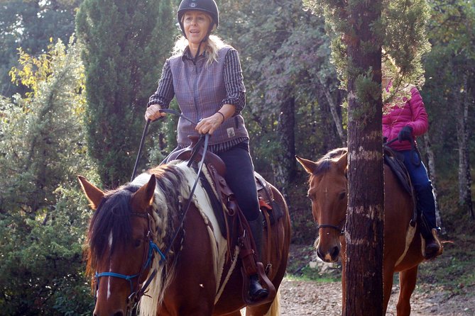 Horsemanship Experience