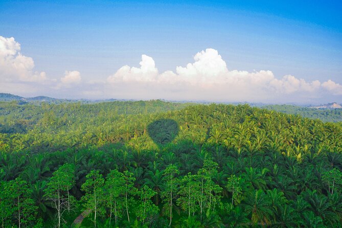 Hot Air Ballooning Tour From Habarana