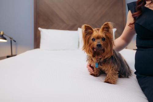 Hotel Winters - Accommodations and Room Types