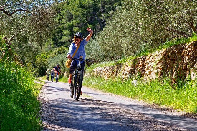 Hvar Island Guided E-Bike Tour