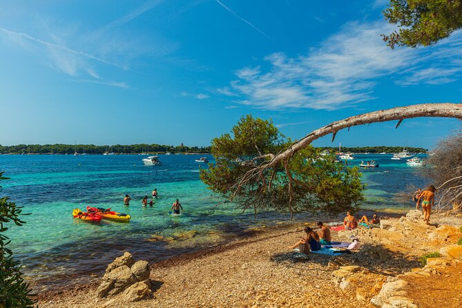 Ile Sainte-Marguerite Ferry & Corniche Dor Cruise Combo From Cannes
