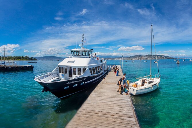 Ile Sainte-Marguerite Full-Day Tour by Ferry From Nice