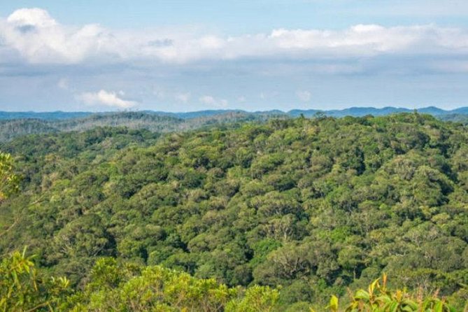 Immersion In An Untouched Ecosystem – Adventurous Full Day Hiking Tour