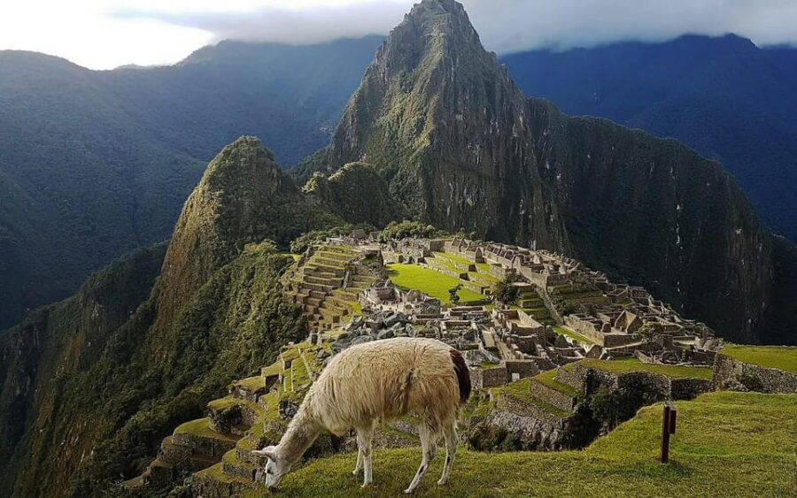 Inca Trail to Machu Picchu 4 Days