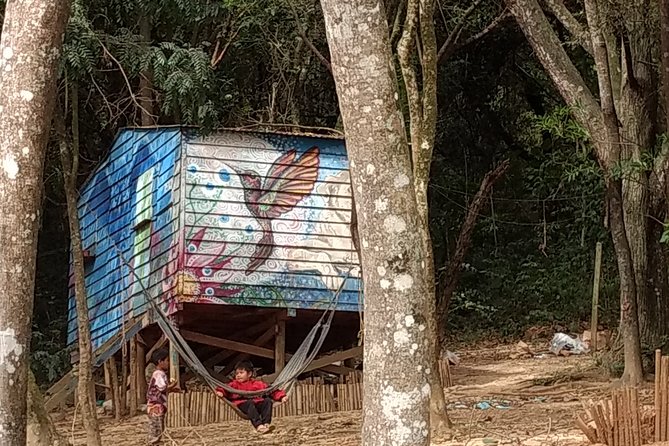 Indigenous Guarani Jaragua Experience