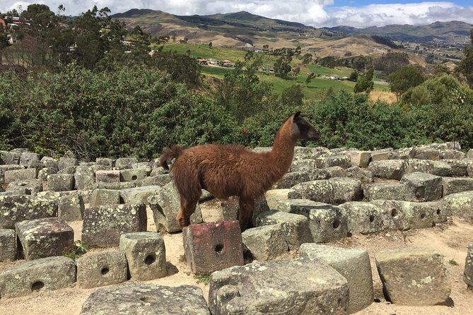 Ingapirca Inca Ruins Cultural Day Trip From Cuenca - Guided Exploration of the Site