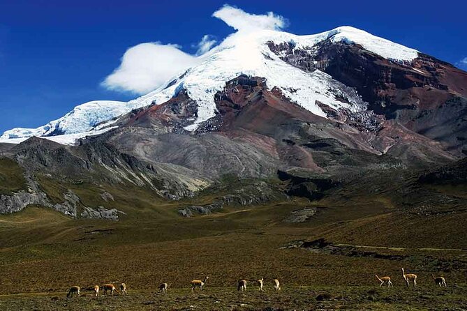 Inspiring Ecuador Highligts 9 Days