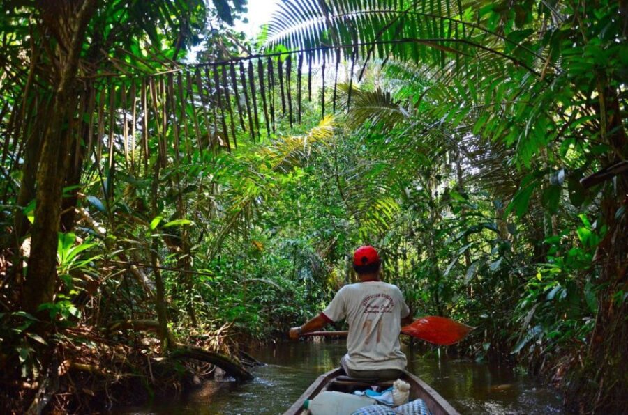 20 Best 2 Day Tours In Iquitos