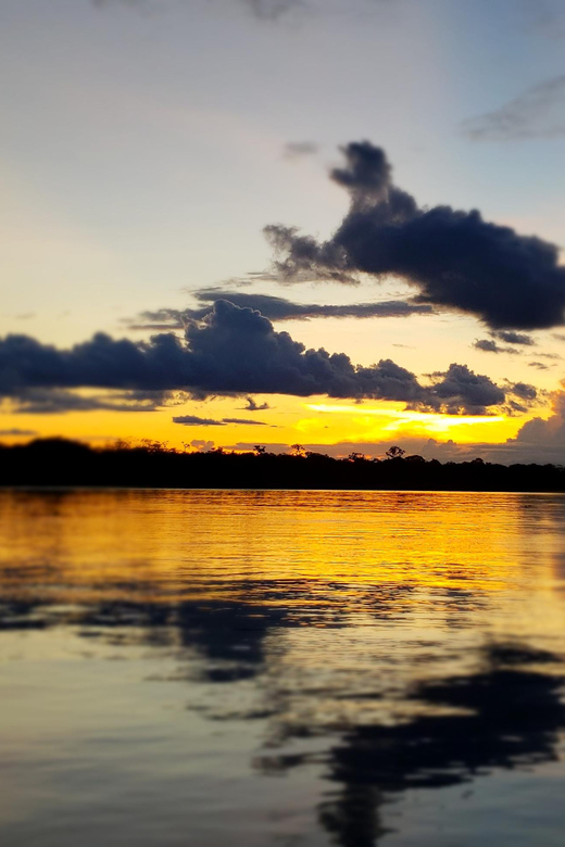 Iquitos: 3d2n Jungle Tour Pacaya Samiria National Reserve