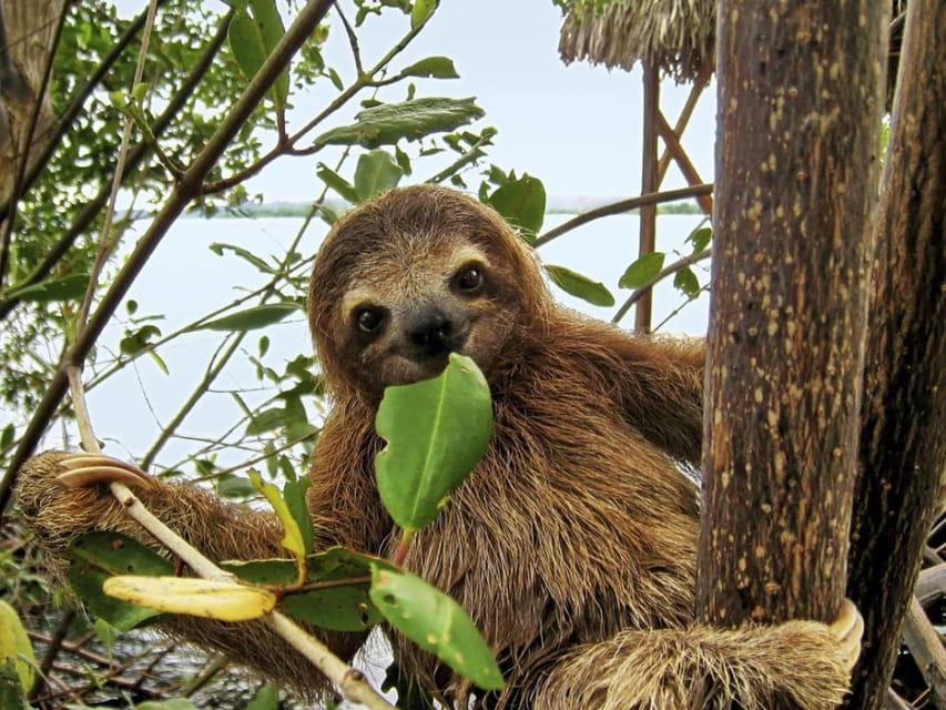 Iquitos 3D:Boat Rides, Piranha Fishing and Night Adventure
