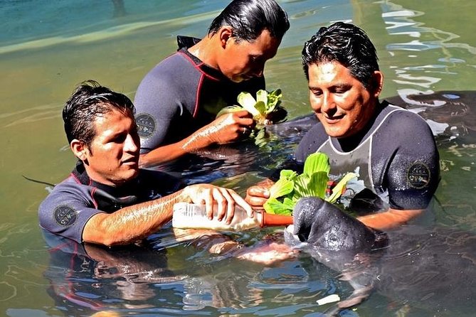 Iquitos City Tour (FULL DAY)