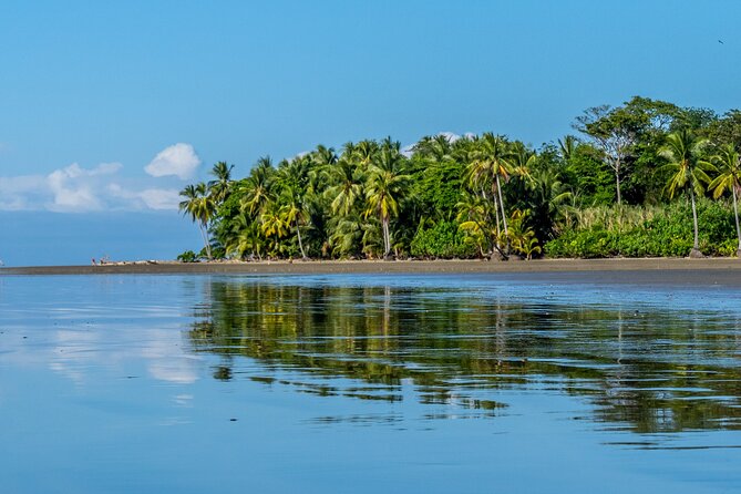 Isla Del Caño Snorkeling Tour From Uvita