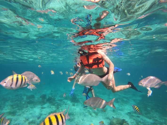 Isla Mujeres: Snorkeling Adventure at the Underwater Museum - Tour Overview
