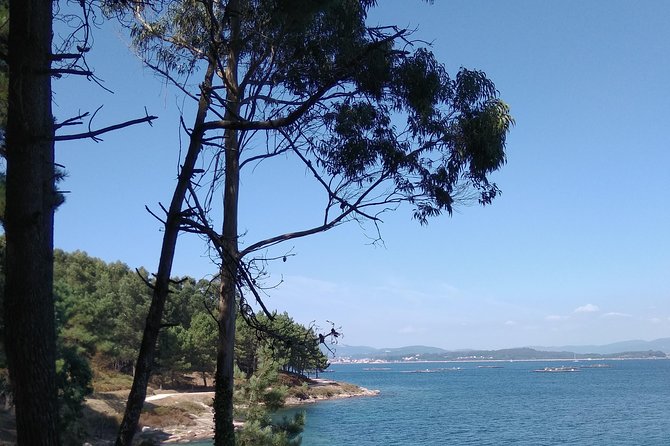 Island of Arousa: Natural Paradise - Geographic Location and Overview