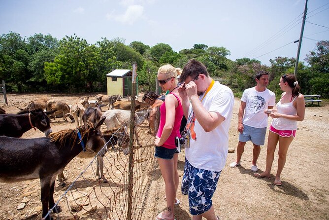 Island Safari Discovery - Tour Overview