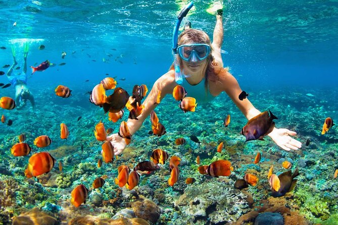 Island Tour With Snorkeling in West Bay Honduras