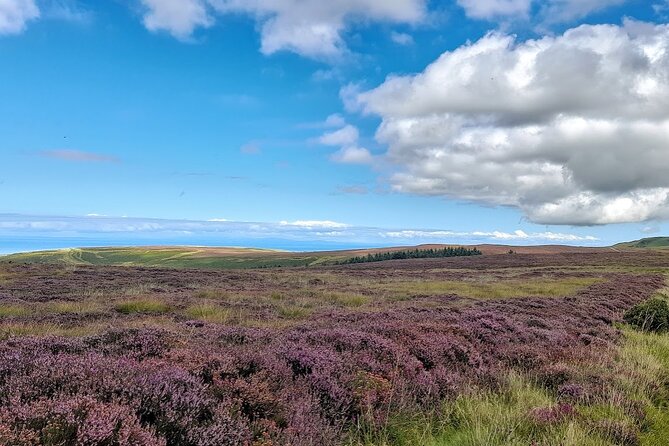 Isle of Man Discovery Tour With Experienced Driver Guide - Highlights of the Private Tour