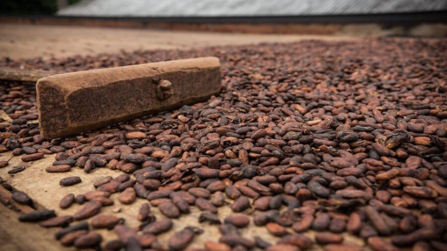 Itacare: Tour to the Vila Rosa Cocoa Farm - Tour Duration and Highlights