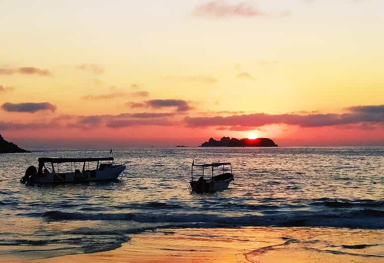 Ixtapa: Marine Life Exploration