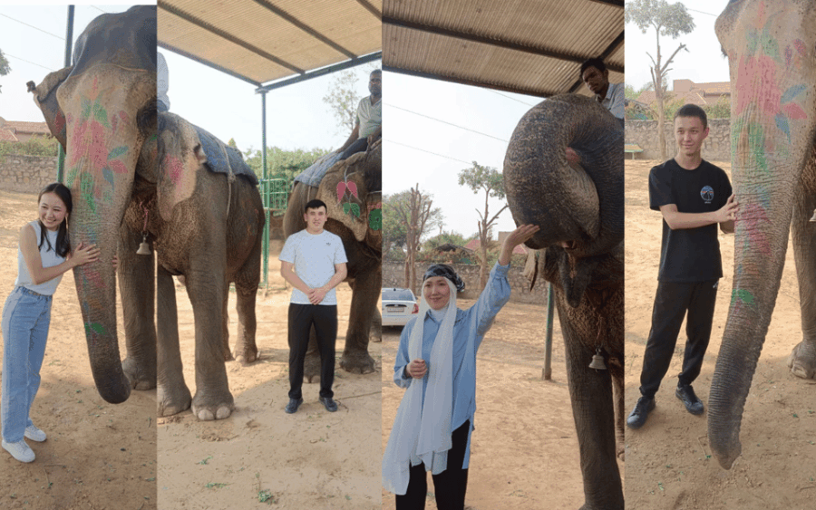 Jaipur City Tour Explore the Pink City Include Guide & Meals