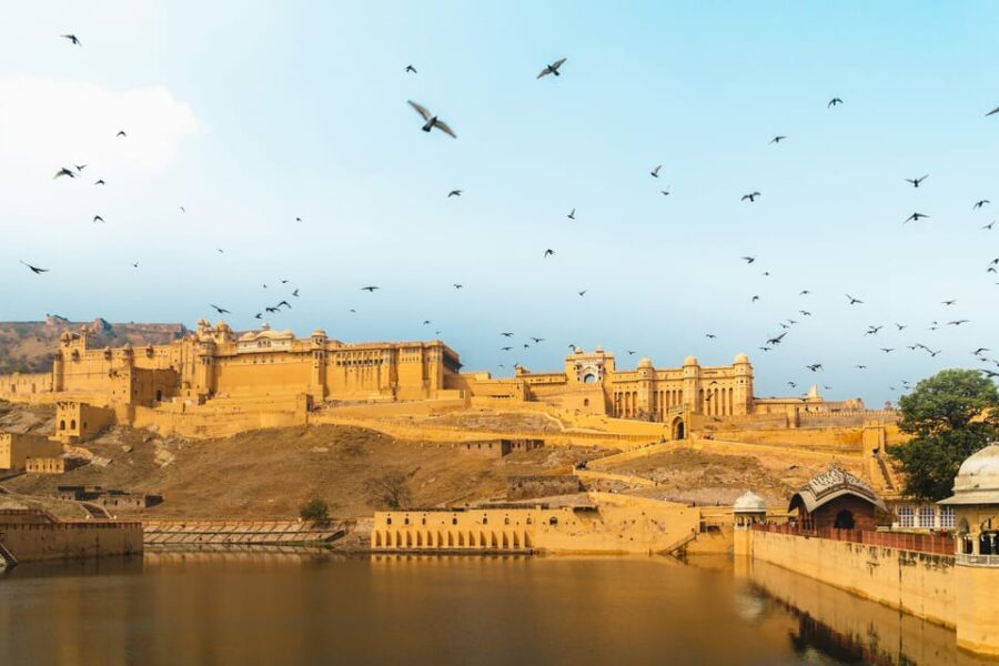 Jaipur City Tour With Monkey Temple by Ac Vehicle