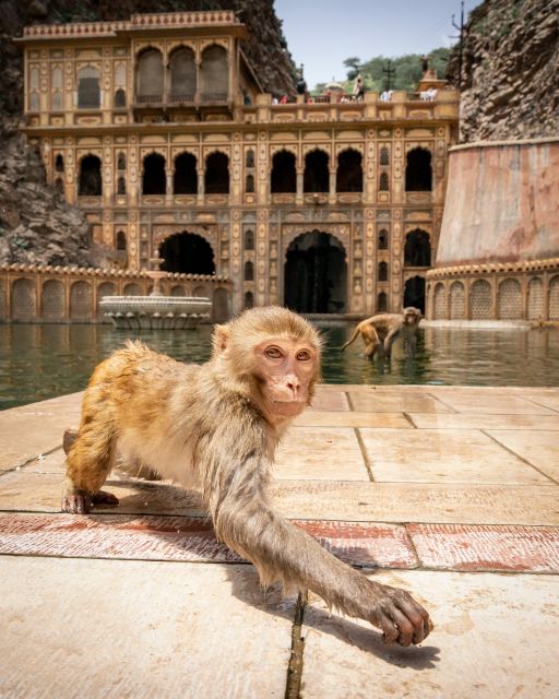 Jaipur Private Car Rental With Driver 8-10 Hours