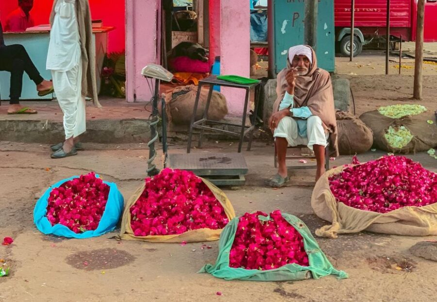 Jaipur: Private Half-Day Sightseeing Tour With Flower Market