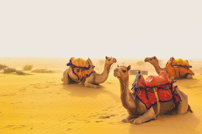 Jaisalmer Camping With Desert Safari Tour 3d/2n