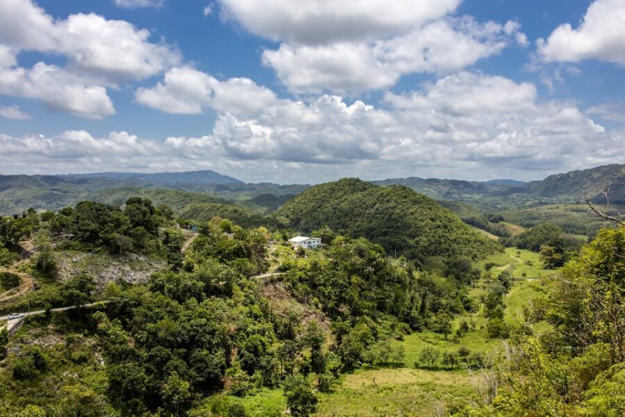 Jamaica: Dunns River and Nine Miles