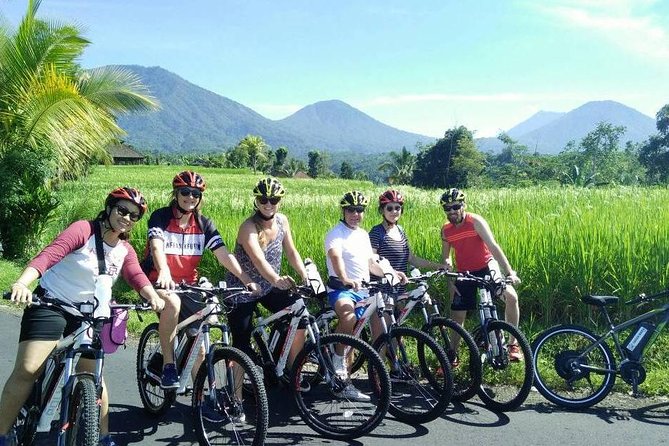 Jatiluwih in Detail (1 H. E-Bike Tour in the Rice Terraces) - Tour Overview