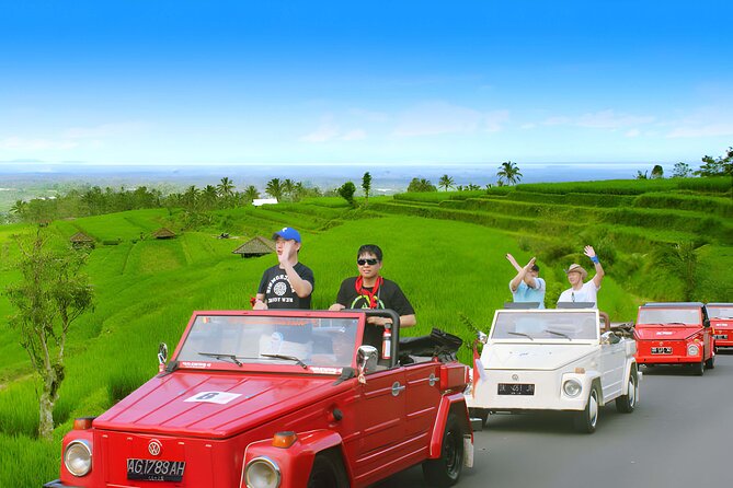 Jatiluwih VW Safari Bali Tour – Volkswagen Classic Car Trip