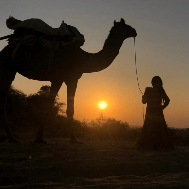 Jeep Safari In Desert Jodhapur