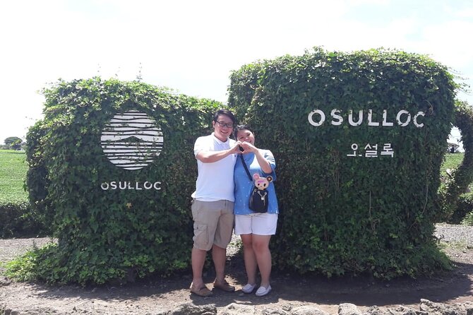 Jeju Island Private Taxi Tour in O’sulloc & Innisfree & Iho Beach