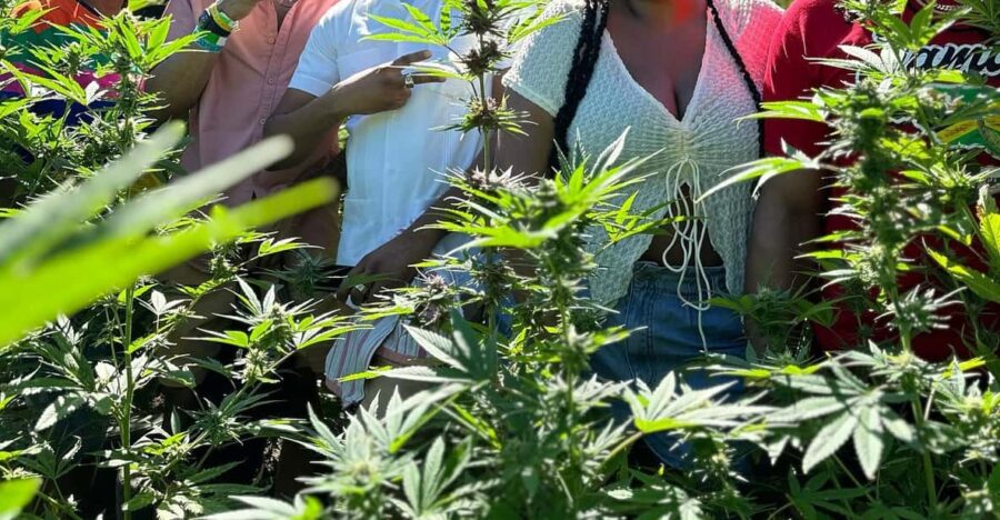 Jet Car, Marijuana Farm and Bamboo Rafting Tour - Exhilarating Coastal Experiences