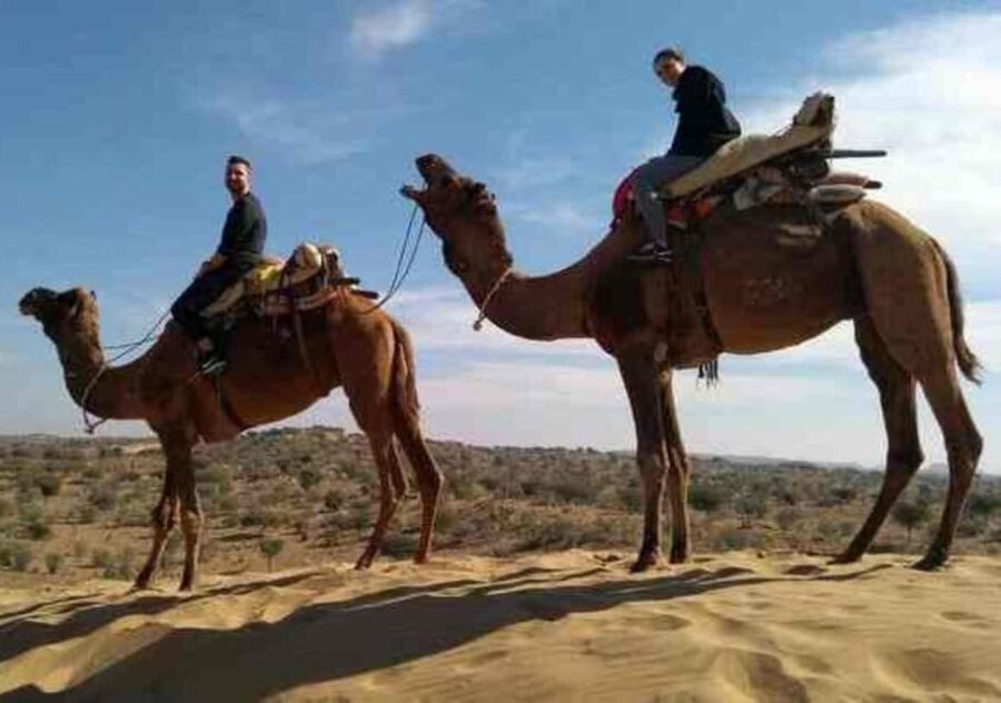 Jodhpur Camel & Jeep Safari With Overnight Stay In Desert